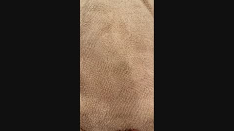 ����C���[�W�摜