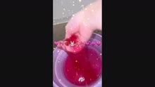 uƂƂ́ṽTlC