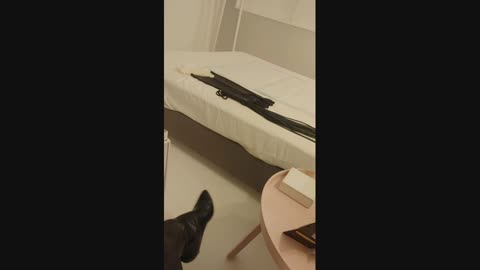 ����C���[�W�摜