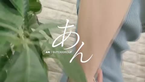 ����C���[�W�摜