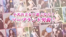 uJ̓芄{IIIIṽTlC